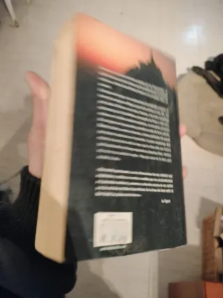 La promesa del ángel (Spanish Edition)