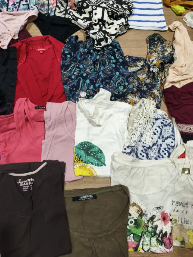 Lote de camisetas variadas
