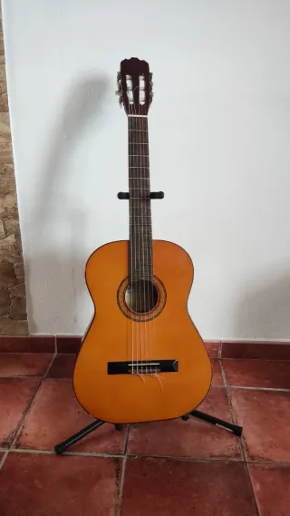 Guitarra española con funda