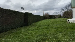 Jardinero en Oleiros, Coruña