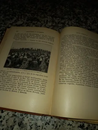 LIBROS TEXTO ANTIGUO