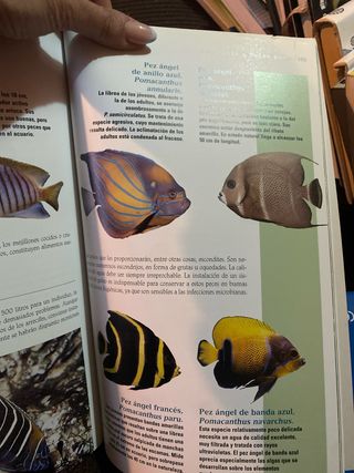 El acuario de agua salada