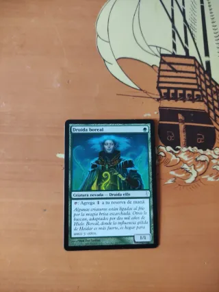 Mtg Druida boreal