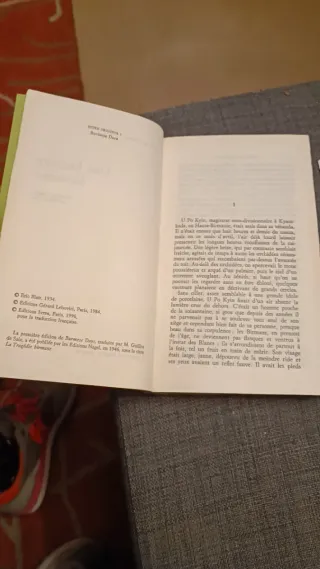 Une histoire birmane