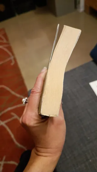 Une histoire birmane