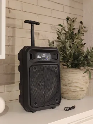 Altavoz XXL GREATNICE con micrófono y luces RGB