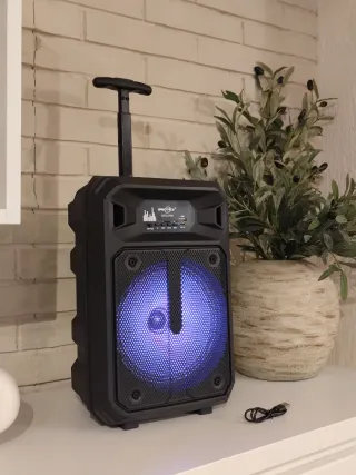 Altavoz XXL GREATNICE con micrófono y luces RGB