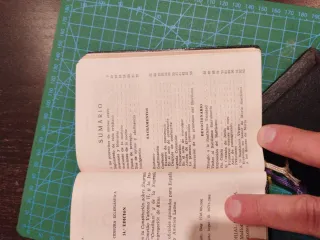 Misalito Regina en español 1966