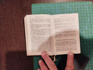 Misalito Regina en español 1966