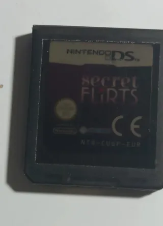 Juego Nintendo DS Secret Flirts