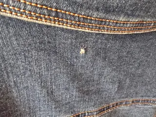 Cazadora tejana clásica Talla L