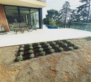 JARDINERO ECONÓMICO