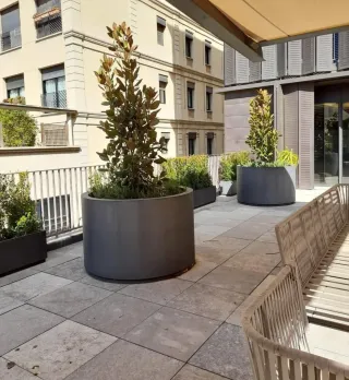 JARDINERO ECONÓMICO