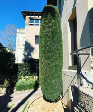 JARDINERO ECONÓMICO