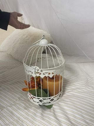 Jaula decorativa con vela y flores