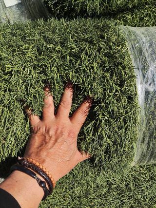 Césped artificial para campos de fútbol