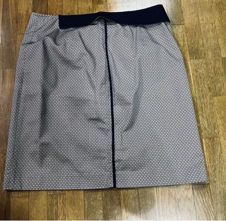 Falda Carolina Herrera Azul y Blanca