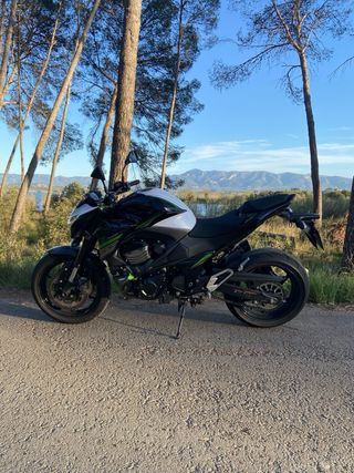 Kawasaki Z800e A2 2016 Negra, Verde y Blanca