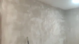 Se precisa paleta por dias 85 euros