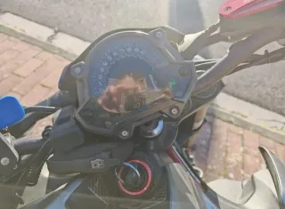 Kawasaki Z900 Full 2019