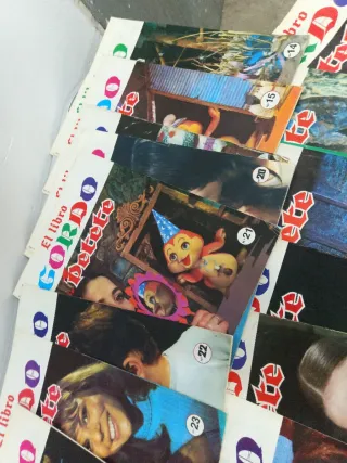 El libro Gordo de petete