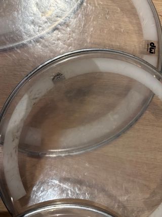 Parches DW para Batería Acústica