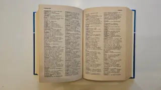 Dizionario russo. Russo-italiano, italiano-russo