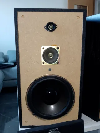 Altavoces Sony SS-901 Negros