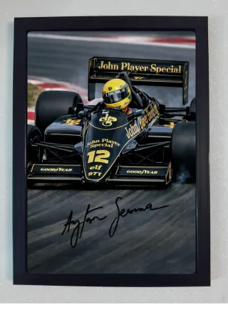 Quadro Lotus Ayrton Senna