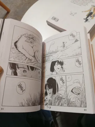 Lote dos comics Perdidos entre la hierba 1 y 2