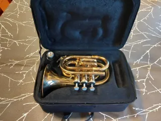 Trompeta Pocket Thomann