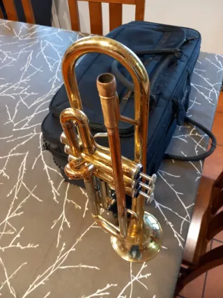 Trompeta Pocket Thomann