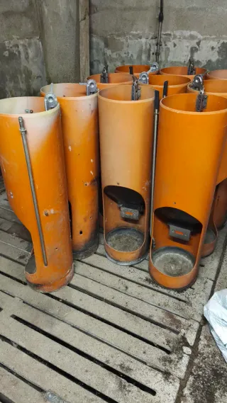 Tolva engorde cerdos TIGSA