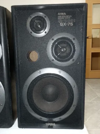 Altavoces Aiwa SX-75