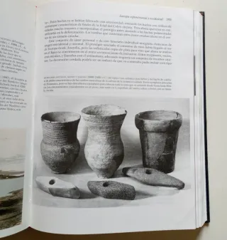 Libro. Prehistoria de Europa Oxford.