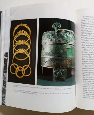 Libro. Prehistoria de Europa Oxford.