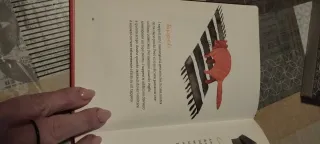 Opinioni di un gatto