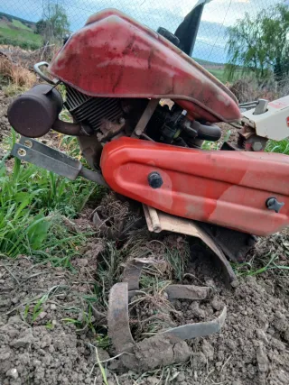 Mula mecánica MTR 300