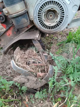 Mula mecánica MTR 300