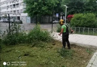 Jardinero económico