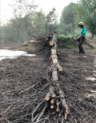 Jardinero económico