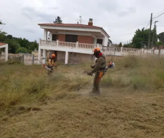 Jardinero económico