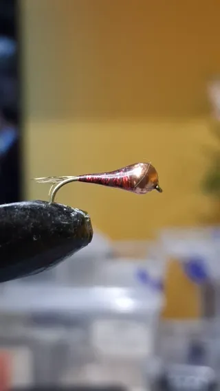 Ninfas y perdigones para pesca