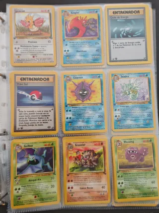 Cartas Pokémon Español Colección