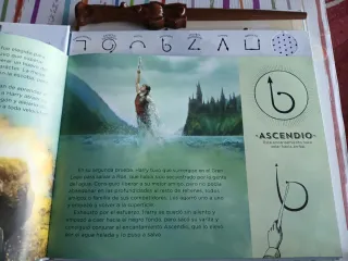 Harry Potter. La varita escoge al mago