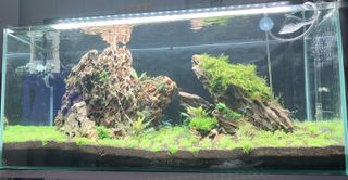 Acuario 250L con pantalla Chihiros