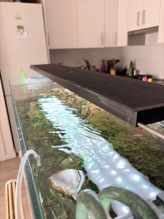 Acuario 250L con pantalla Chihiros