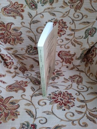 Noticia histórico-artística de la Sagrada Image...