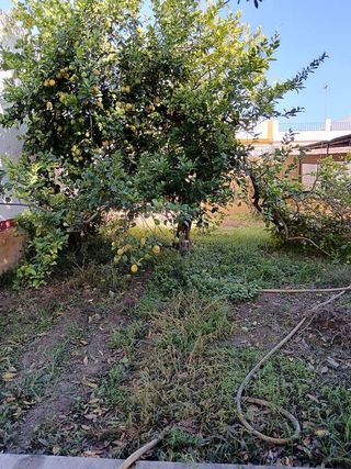 Terreno en venta en Gines