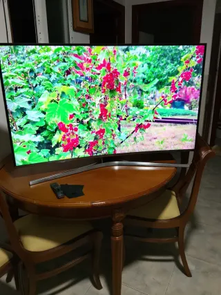 Samsung Curva 49 4K Gama Alta